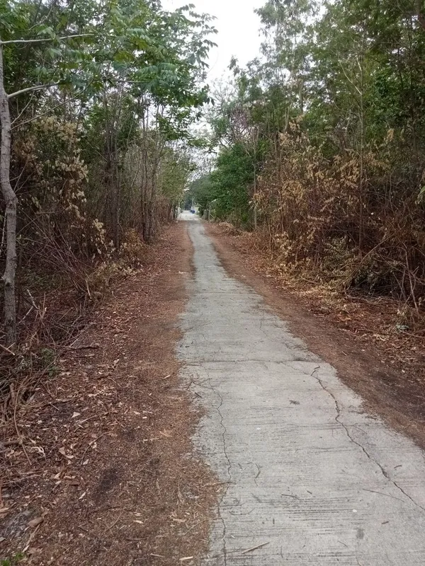 ขายที่ดินเปล่า ราคาถูก ใกล้ชุมชน อ.พระพุทธบาท จ.สระบุรี