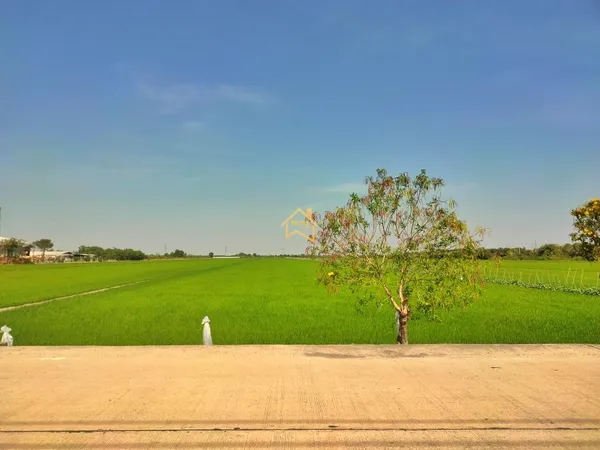 ขาย ที่ดิน 22 ไร่ 3 งาน 92.8 ตารางวา อ.ไทรน้อย จ.นนทบุรี ราคาถูกกว่าตลาดมาก