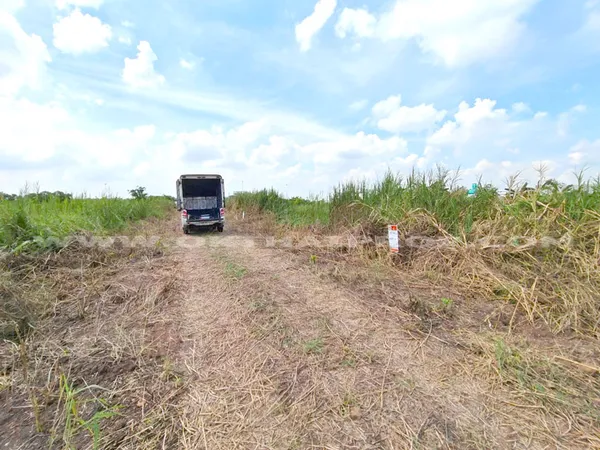 ที่ดินจัดสรรล็อคที่ 19 ถ.346 ต.หน้าไม้ อ.ลาดหลุมแก้ว จ.ปทุมธานี