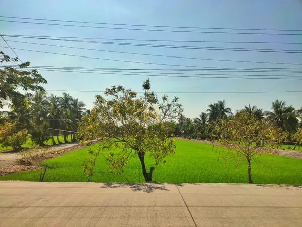 ขายถูก ที่ดิน 4 ไร่ 1 งาน 59.6 ตารางวา อ.ไทรน้อย จ.นนทบุรี