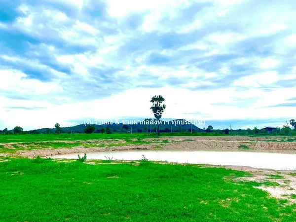 พื้นที่ดิน ขายที่ดินจัดสรรแปลงใหญ่ พร้อมทะเลสาบ (ติดถนนหลัก และติดถนนรอง) อู่ทอง จ.สุพรรณบุรี 60-3-0 ไร่ ราคา 23 ล้าน 24