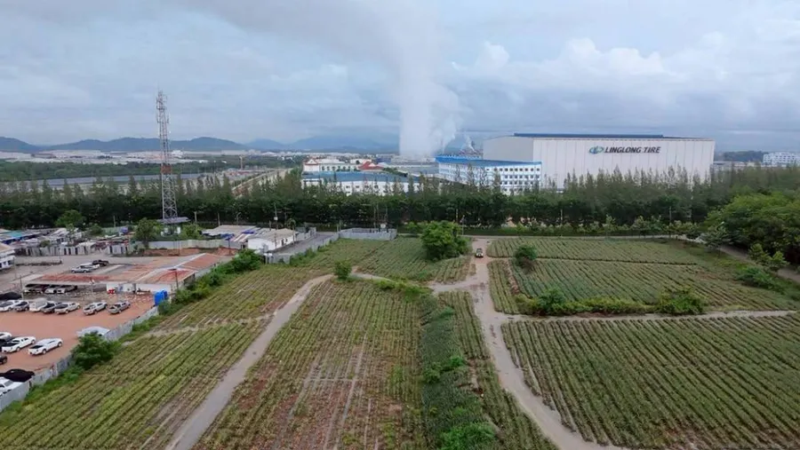 ขาย ที่ดิน ระยอง อ.ปลวกแดง ต.ตาสิทธิ์