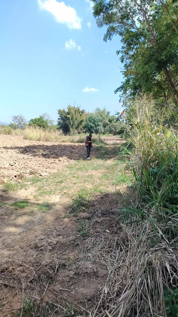 ขายที่ดินเปล่า12 ไร่ ทำเลสวย อากาศดี อำเภอภูเรือ จังหวัดเลย