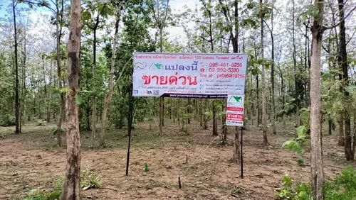 ขายที่ดินพร้อมสวนป่าสัก 8-2-21 ไร่ (5แปลงติดกัน) ตำบลทุ่งยั้ง อำเภอลับแล จังหวัดอุตรดิตถ์