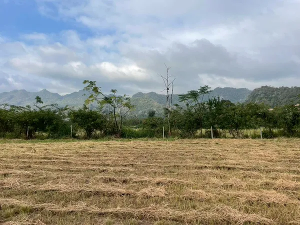 ขายที่ดินสวย วิวภูเขา เขาใหญ่ นครราชสีมา