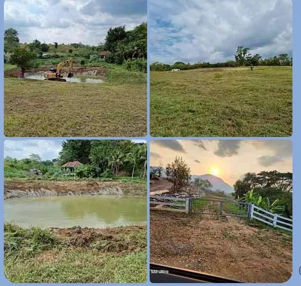 ขายที่ดิน 12 ไร่ เขาใหญ่ อำเภอปากช่อง จังหวัดนครราชสีมา