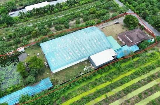 ให้เช่าโรงงาน บนที่ดิน 4 ไร่ พื้นที่โรงงาน 1250 ตารางเมตร ตำบลบ้านใหม่ อำเภอสามพราน จังหวัดนครปฐม