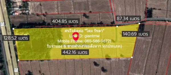 ที่ดิน //ปรับลดราคา//ขายที่ดิน พร้อมสิ่งปลูกสร้างติดทางหลวงหมายเลข 11 (อ.วังทอง จ.พิษณุโลก) 36-3-99.7 ไร่, ราคา 25,159,4