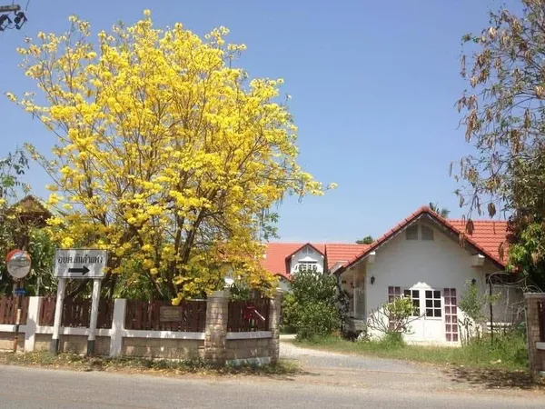 ราคาสุดพิเศษ!! ที่ดินทำเลทอง 2,119 ไร่ อ.สันกำแพง จ.เชียงใหม่ ศักยภาพสูง มีให้เลือกหลายแปลง 
หลายขนาด