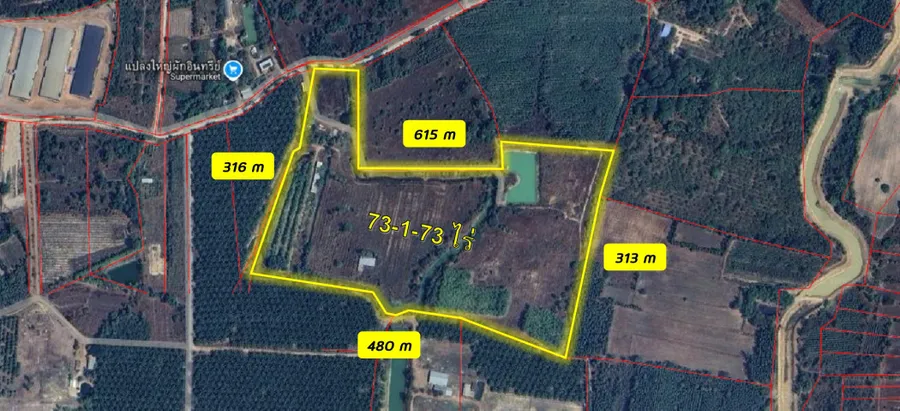 ขาย ที่ดิน บ้านวังรี ต.นนทรี อ.กบินทร์บุรี จ.ปราจี