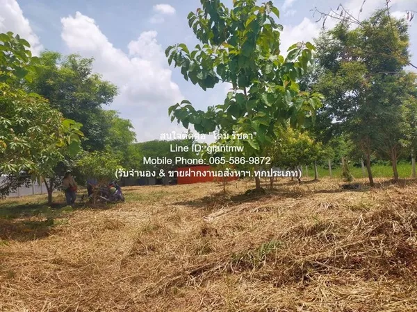 ID : DSL-709 SALE ขาย ที่ดิน ขายที่ดินเปล่า 1-0-14.5 ไร่ (414.5 ตร.ว.) ซ.สุวินทวงศ์ ใกล้สนามกอล์ฟฟินิกซ์ โกลด์ กอล์ฟ แบง