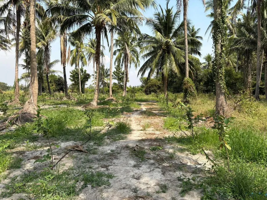 ขายที่ดินพร้อมบ้านสวน 10 ไร่ อ.ชะอำ ใกล้ วิทยาลัยก