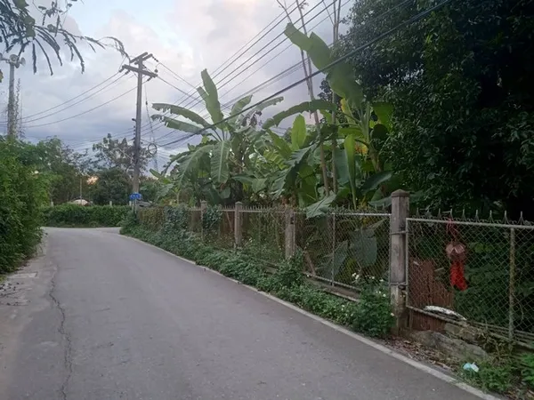 ขายที่ดิน 451ตรว. ลดเหลือ 8ลบ. มีรั้วรอบ ถนน น้ำประปา ไฟฟ้า เยื้องปั๊ม ปตท.ถนนต้นยาง ต.หนองผึ้ง อ.สารภี เชียงใหม่