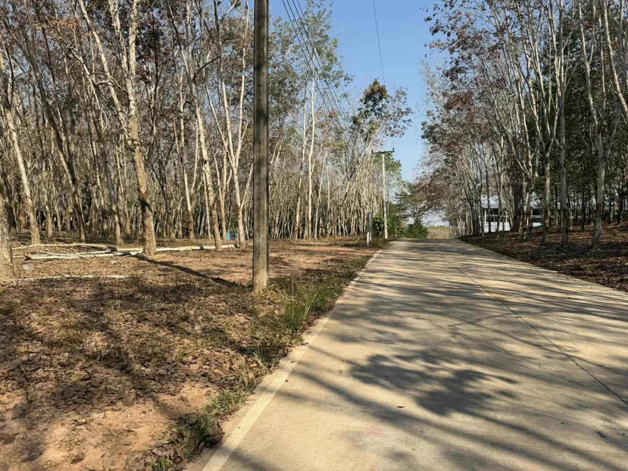 ขาย ที่ดิน ระยอง อ.เมือง