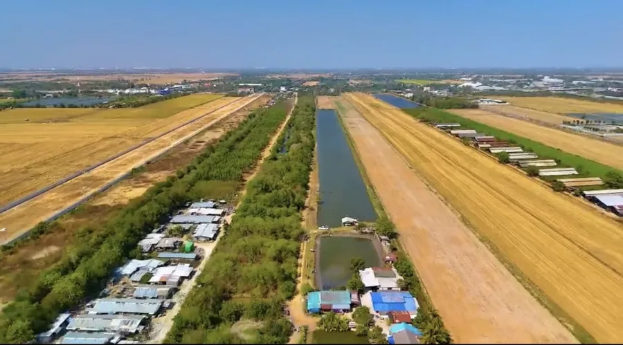 ขาย ที่ดิน ฉะเชิงเทรา ติดถนนเส้น 3001