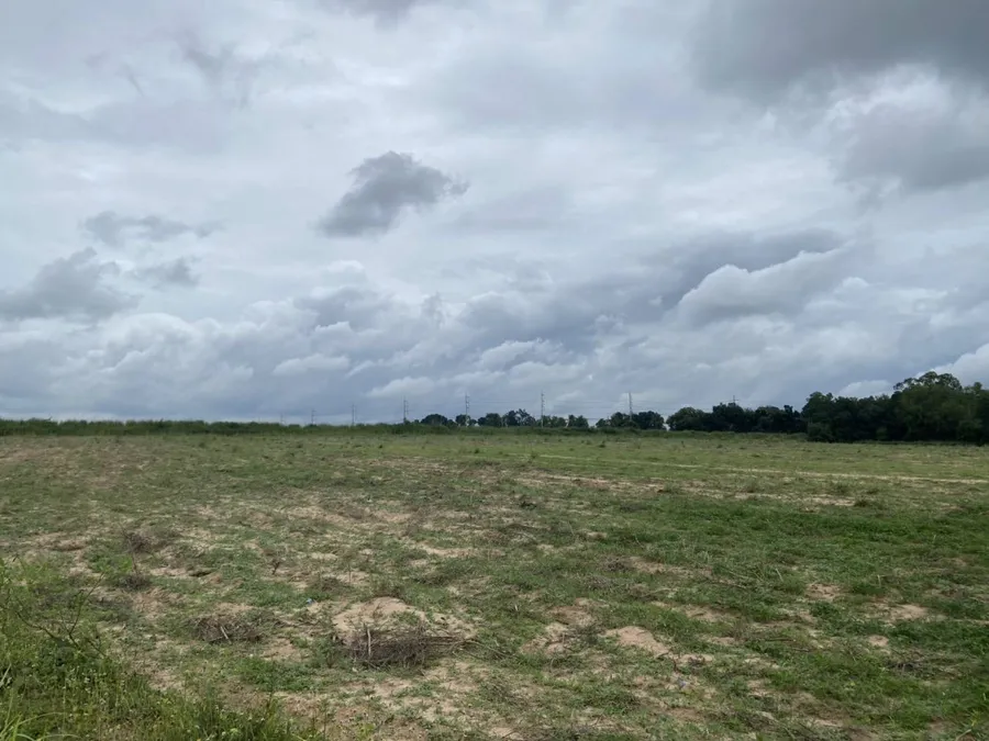 ขาย ที่ดิน ที่ดินในนิคมอมตะซิตี้​ ระยอง