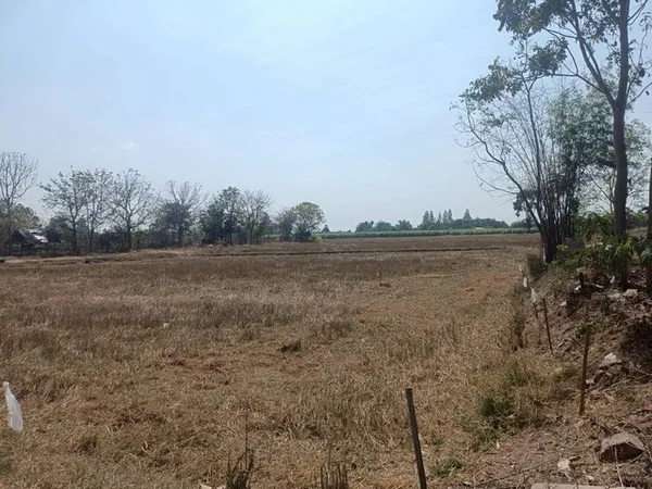 ที่ดินขนาด 6 ไร่ 3 งาน 84 ตารางวา ตำบลทุ่งหลวง อำเภอปากท่อ จังหวัดราชบุรี