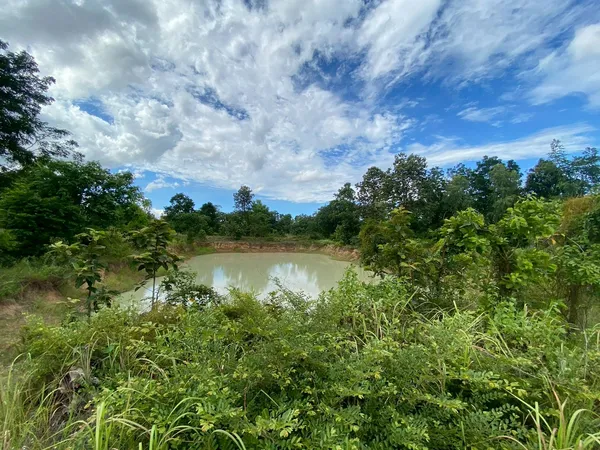 ขายที่ดิน เมืองพล จังหวัดขอนแก่น