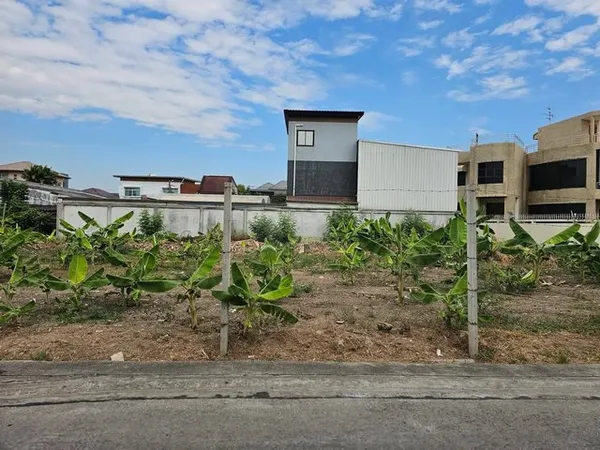 ขายที่ดิน 416 ตรว. (1 ไร่) ถมแล้วย่านเลียบด่วน นาคนิวาส 21 ทะลุ สังคมสงเคราห์ 28 ได้ ที่ดินหน้ากว้างสวย ถนนกว้าง ที่สวย 