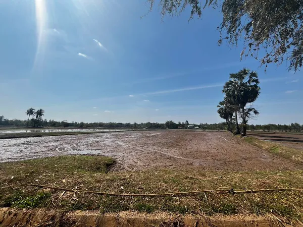 ขายที่นา 9 ไร่ ไม่ไกลจากตัวเมืองขอนแก่น