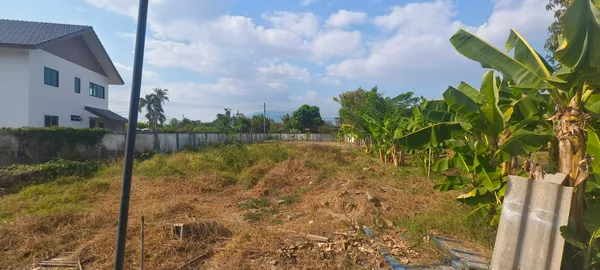 ที่ดินแปลงสวย ติดถนนเส้นหลักบ้านกลาง – ท่าวังตาล สารภี