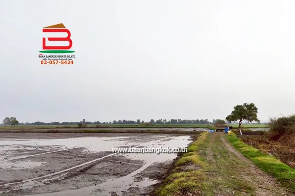 ที่ดินเปล่า เนื้อที่ 25-1-56 ไร่ เทศบาลไผ่กองดิน ถนนสุพรรณบุรี-ชัยนาท (340) ตำบลทองขาหย่าง อำเภอบางปลาม้า จังหวัดสุพรรณบุรี