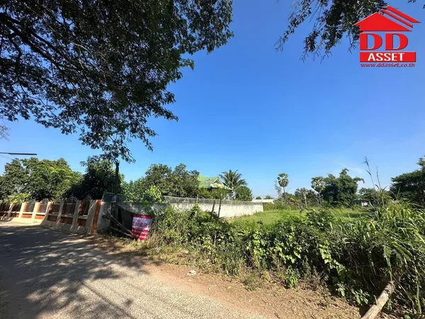 ขายที่ดิน จ.นครราชสีมา ซอยเฉลิมพระเกียรติ เมืองย่าโม