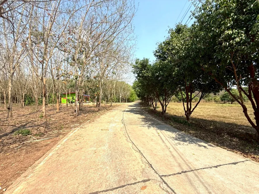 ขาย ที่ดิน ME403 บ้านสวน เกษตร เกษียณ ติดคลองน้ำ 1