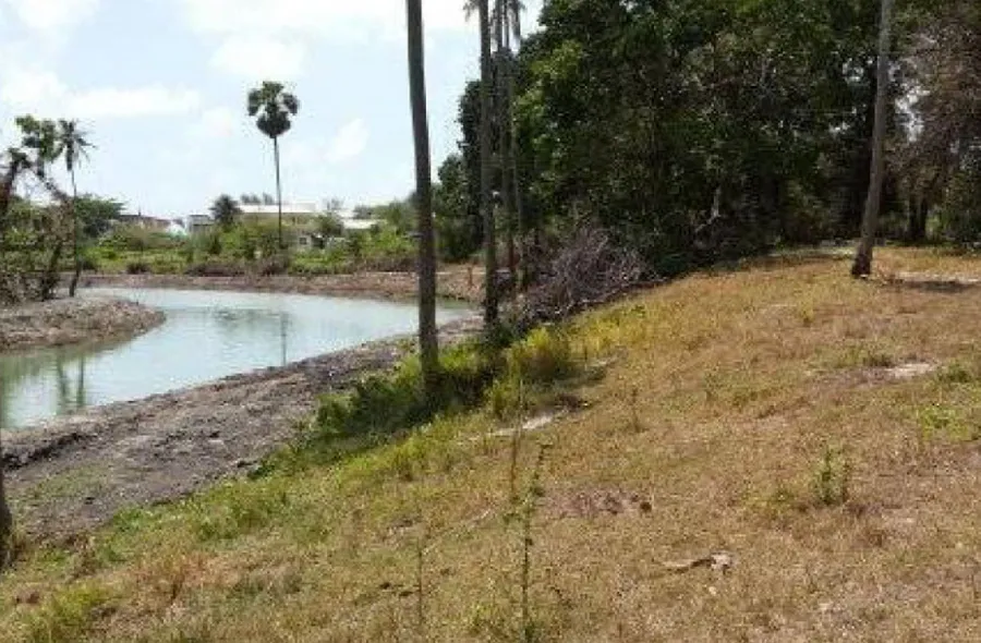 ขายที่ดิน 14 ไร่ 0 งาน 5 ตร.ว. ถนนสงขลา-นาทวี ซอย 