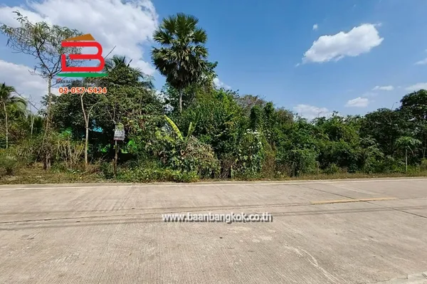 ที่ดิน ชุมชนวัดสุวรรณา รัญญิกาวาส เนื้อที่ 332 ตรว. ซอยสุวรรณาร่วมมิตร ถนนหลวงหมายเลข 331 บ้านบึง-ชลบุรี ตำบลวัดสุวรรณ อำเภอบ่อทอง จังหวัดชลบุรี