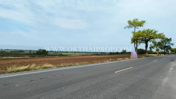 ที่ดินติดถนน ต.ดอนดึง อ.บ้านหมี่ จ.ลพบุรี