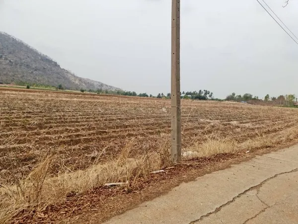 เดือนแห่งความรักหาทรัพย์สวยสักแปลง ที่ดินติดภูเขา ต.พระนอน อ.เมือง จ.นครสวรรค์ วิวสวยมากๆๆ 5ไร่เศษ โทร 096-882-1857