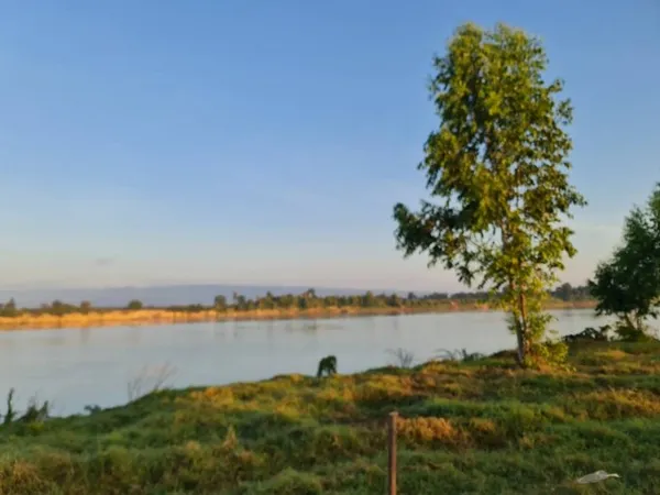 เดือนแห่งความรักหาทรัพย์สวยสักแปลง ที่ติดแม่น้ำโขง ต.กุดบง อ.โพนพิสัย จ.หนองคาย หลังติดแม่น้ำโขง ไร่ละ 2ล้านบาท โทร 096-