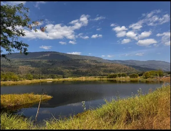 ขายที่ดินเปล่า วิวภูเขาและ ติดอ่างเก็บน้ำธรรมชาติ  ติดถนน 2 ด้าน ทำเลดี อำเภอหนองบัวแดง จังหวัดชัยภูมิ