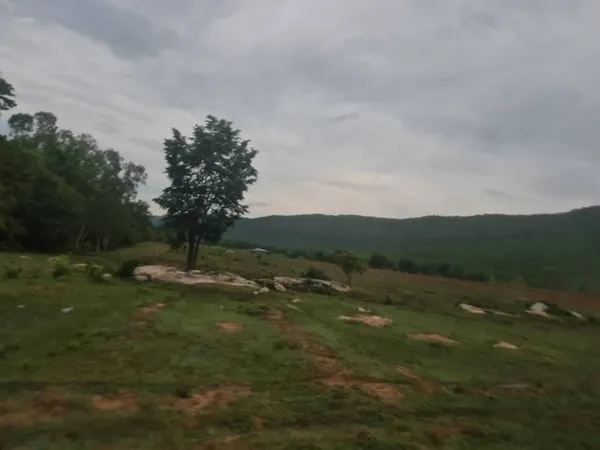 เดือนความรักหาทรัพย์สวยสักแปลง ขายที่ดินสวยติดภูเขา เทือกเขายาวเรียงแนว ดินดีสมบูรณ์ทรัพย์ในดิน ฟ้าใสวิวหลักล้าน ต.นาจาน