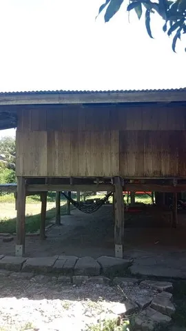 เดือนความรักหาทรัพย์สวยสักแปลง ขายบ้านไม้ จ.สิงห์บุรี วิถีไทย ต.โพทะเล วิถีไทย 262 วา ต.โพทะเล อ.ค่ายบางระจัน สิงห์บุรี