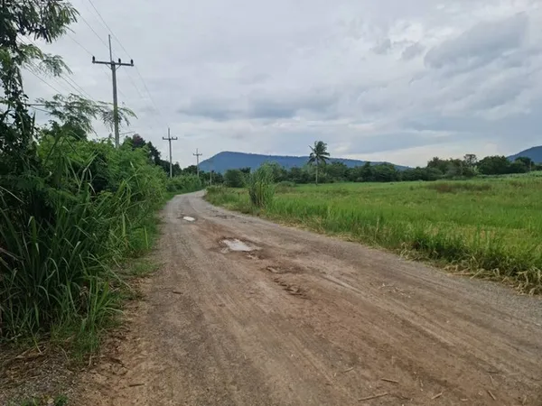 เดือนแห่งความรักหาทรัพย์สวยสักแปลง ที่ปากช่อง 2ไร่- 8ไร่ โฉนด ต.วังไทร อ.ปากช่อง จ.นครราชสีมา ไร่ละ 2.9 ลบ.สูงจากระดับน้