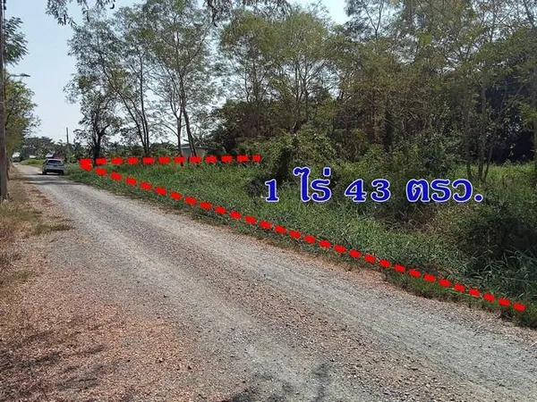 ขายที่ดิน 1 ไร่ 43 ตร.ว. ติดถนนสาธารณะ คลองสิบสอง หนองจอก ใกล้สโมสรหนองจอก ซิตี้