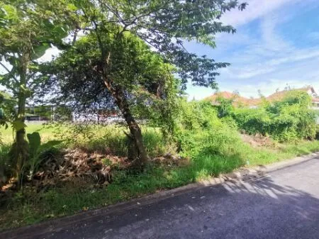 ขาย ที่ดิน สวนผัก45 264ตรว วงแหวนกาญนา เข้าทางอัศว