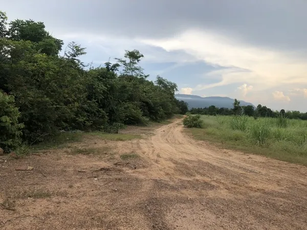 รวมบ้านที่ดินดีงามเพื่อคุณ ขายที่ดินสวยติดภูเขา เทือกเขายาวเรียงแนว ดินดีสมบูรณ์ทรัพย์ในดิน ฟ้าใสวิวหลักล้าน ต.นาจาน อ.ส