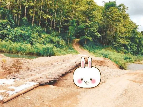 รวมบ้านที่ดินดีงามเพื่อคุณ ขายที่ดินติดลำธารน้ำใสไหลริน ชุ่มฉ่ำตลอดปี สวยวิวล้าน 800000บาท 3-0-35ไร่ อำเภอสันติสุข น่าน