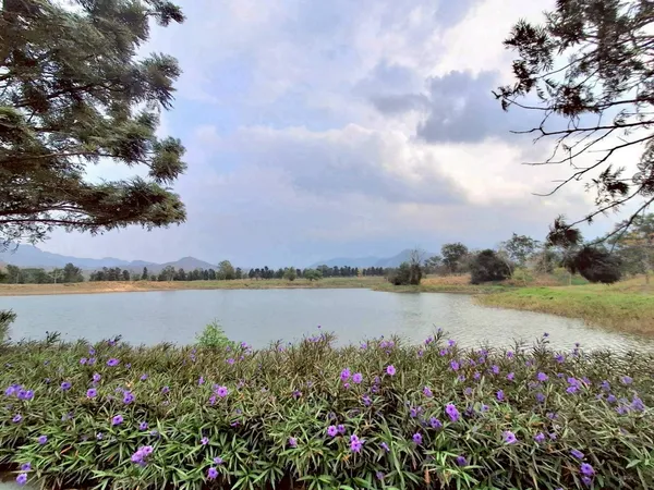 ขายที่ดินเปล่า Pirom At Vineyard เขาใหญ่ ภิรมย์ แอท วินยาร์ด