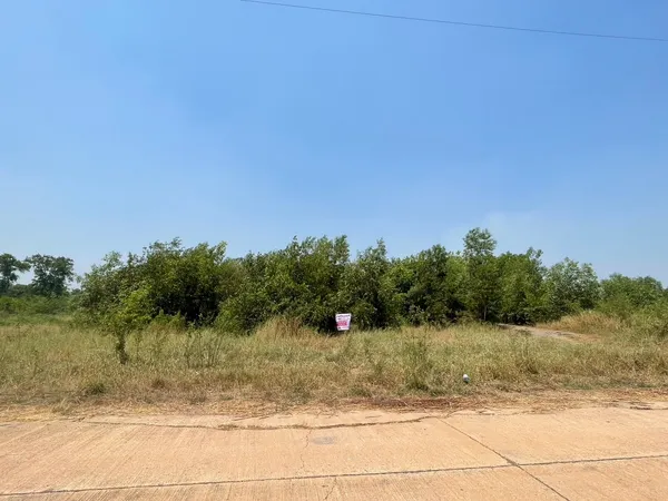 ขายด่วนที่ดินตามราคาประเมิน พื้นที่สีม่วง อ.บางปลาม้า จ.สุพรรณบุรี