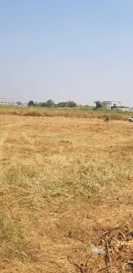 ขาย ที่ดิน ต. ท่าไม้ กระทุ่มแบน สมุทรสาคร