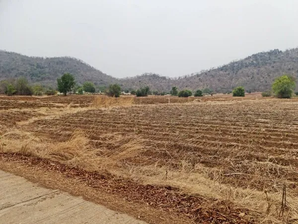 จากใจคนขายถึงใจผู้ซื้อ ที่ดินติดภูเขา ต.พระนอน อ.เมือง จ.นครสวรรค์ วิวสวยมากๆๆ 5ไร่เศษ โทร 096-882-1857