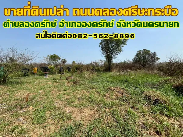 ขายที่ดินเปล่า ถนนคลองศรีษะกระบือ องครักษ์ นครนายก
