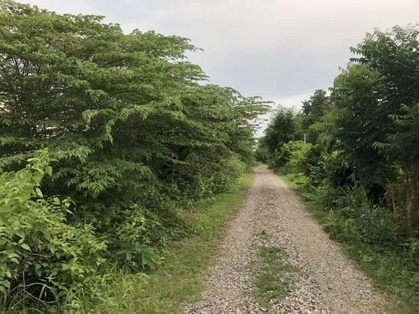 จากใจคนขายถึงใจผู้ซื้อ ขายที่ดินสวยติดภูเขา เทือกเขายาวเรียงแนว ดินดีสมบูรณ์ทรัพย์ในดิน ฟ้าใสวิวหลักล้าน ต.นาจาน อ.สีชมพ