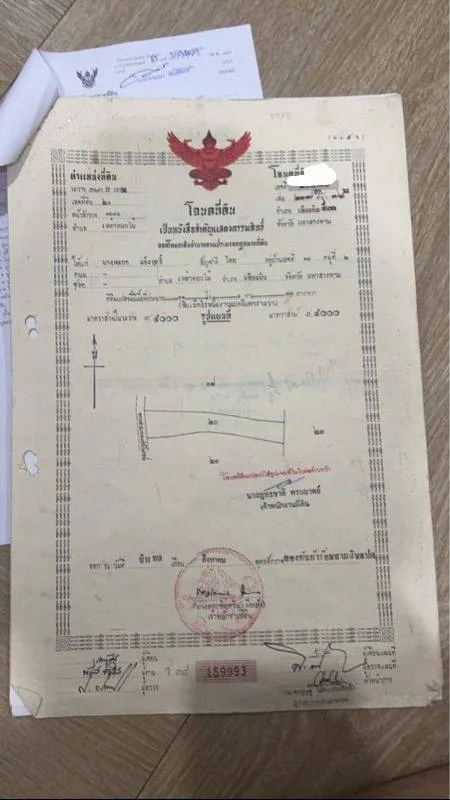 ขายที่ดินเปล่า วิวทุ่งนา บรรยากาศธรรมชาติสวย อำเภอชื่นชม จ.มหาสารคาม