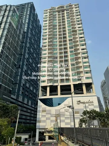 condo Supalai Elite Phayathai ศุภาลัย เอลีท พญาไท ใกล้ รถไฟฟ้า BTS พญาไท 11500000 THB 2BR 106ตารางเมตร เล่นใหญ่