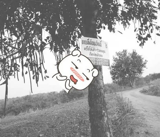 จากใจคนขายถึงใจผู้ซื้อ ธรรมชาติเนินเขา ที่ดินโฉนดแบ่งขาย หล่มเก่า เพชรบูรณ์ ใกล้ภูทับเบิก โทร 0968821857